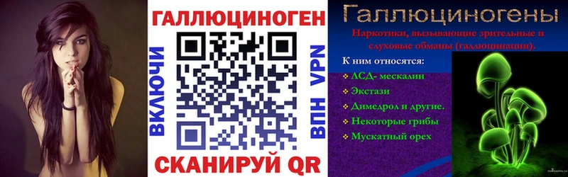 OMG как зайти  Серов  Псилоцибиновые грибы Magic Shrooms 